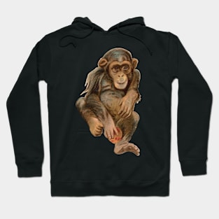 Baby Chimpanzee Hoodie